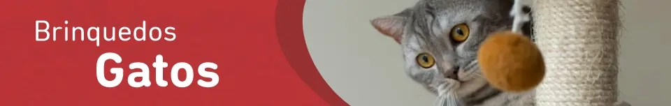 Banner Categoria