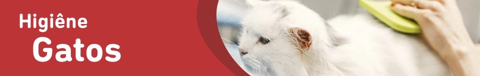 Banner Categoria