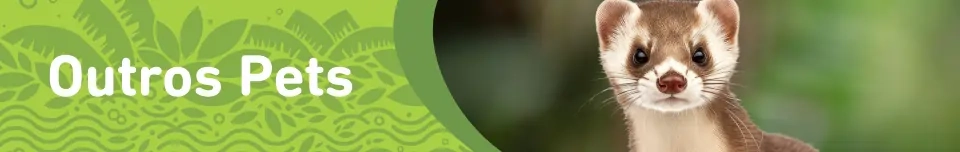Banner Categoria