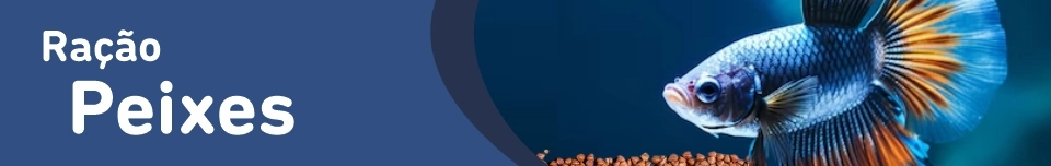 Banner Categoria