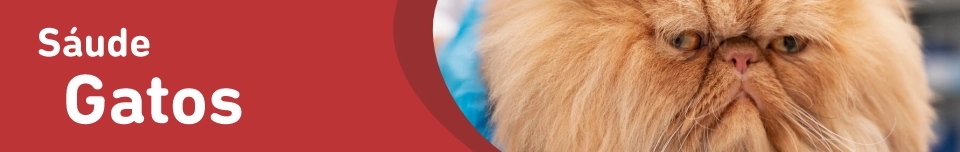Banner Categoria