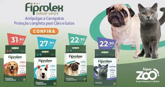 Imagem Carousel